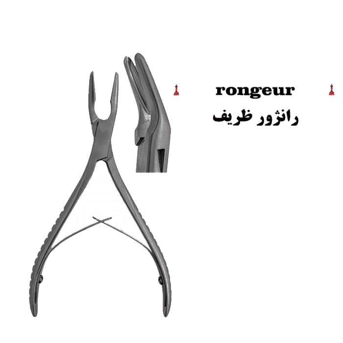 رانژور ظریف کاریزما