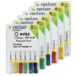 فایل دستی اچ فایل اندوآرت H File ENDOART