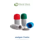 آمالگام کپسولی وردورک ایتالیا - AMALGAM World Work
