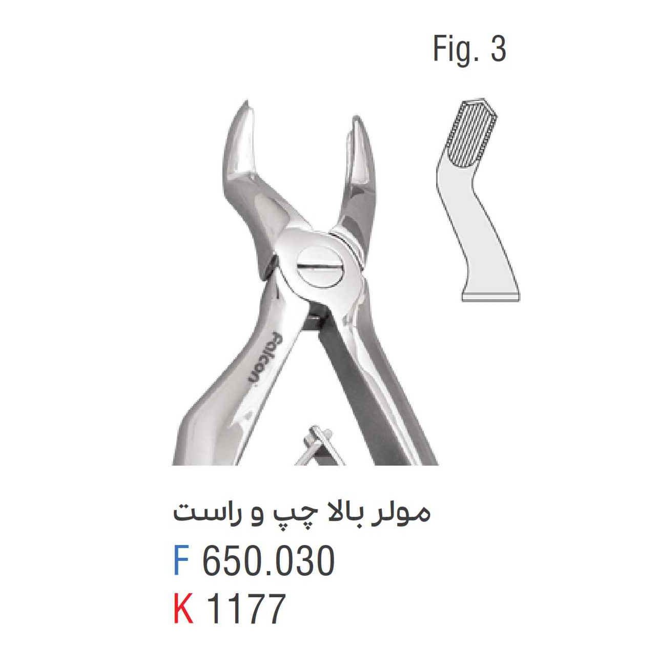 فورسپس مولر بالا چپ و راست fig:3