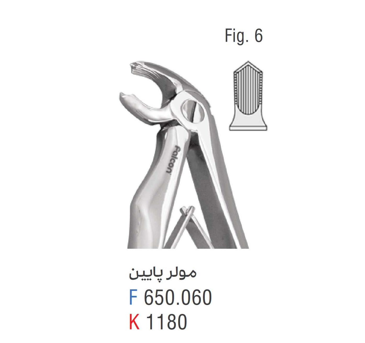 فورسپس مولر پایین fig:6