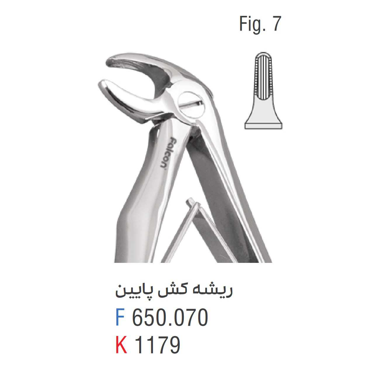 فورسپس ریشه کش پایین فالکن fig:7