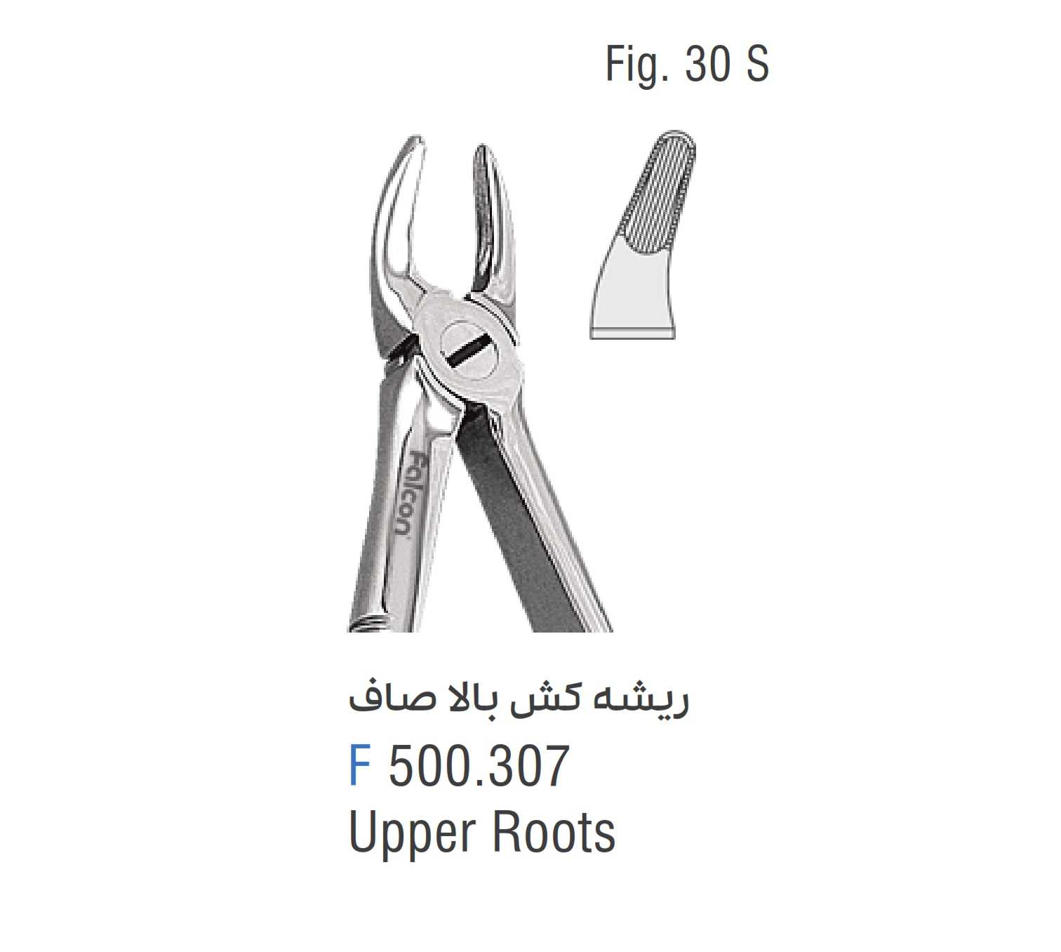 فورسپس ریشه کش بالا صاف Fig:30S