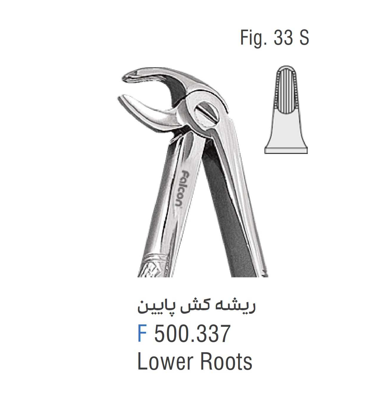 فورسپس ریشه کش پایین فالکن Fig:33S