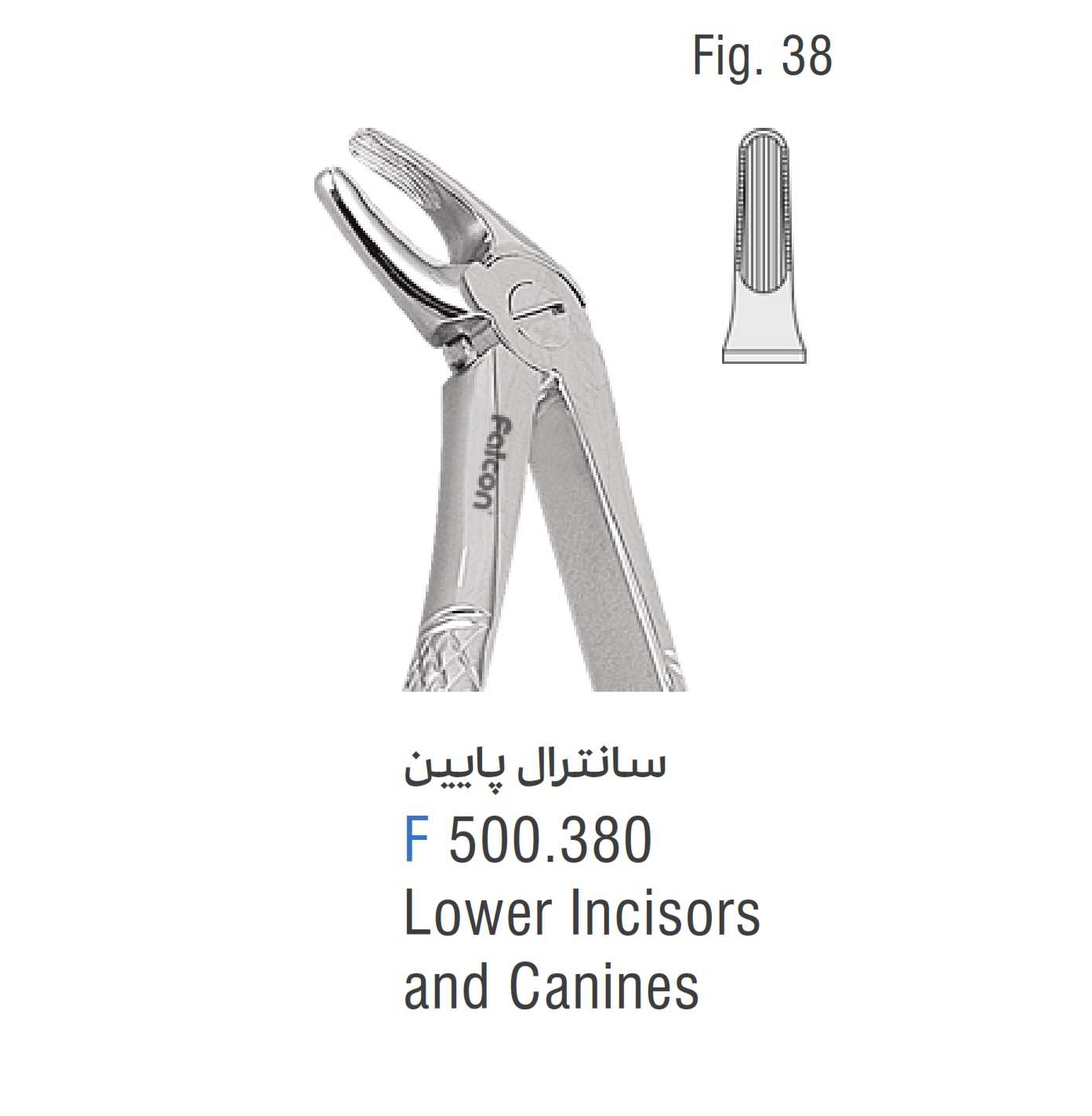 فورسپس سانترال پایین فالکن Fig:38