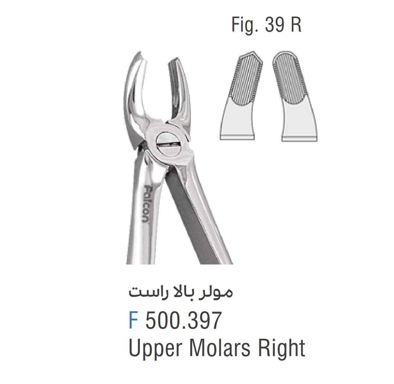 فورسپس مولر بالا راست فالکن Fig:39R