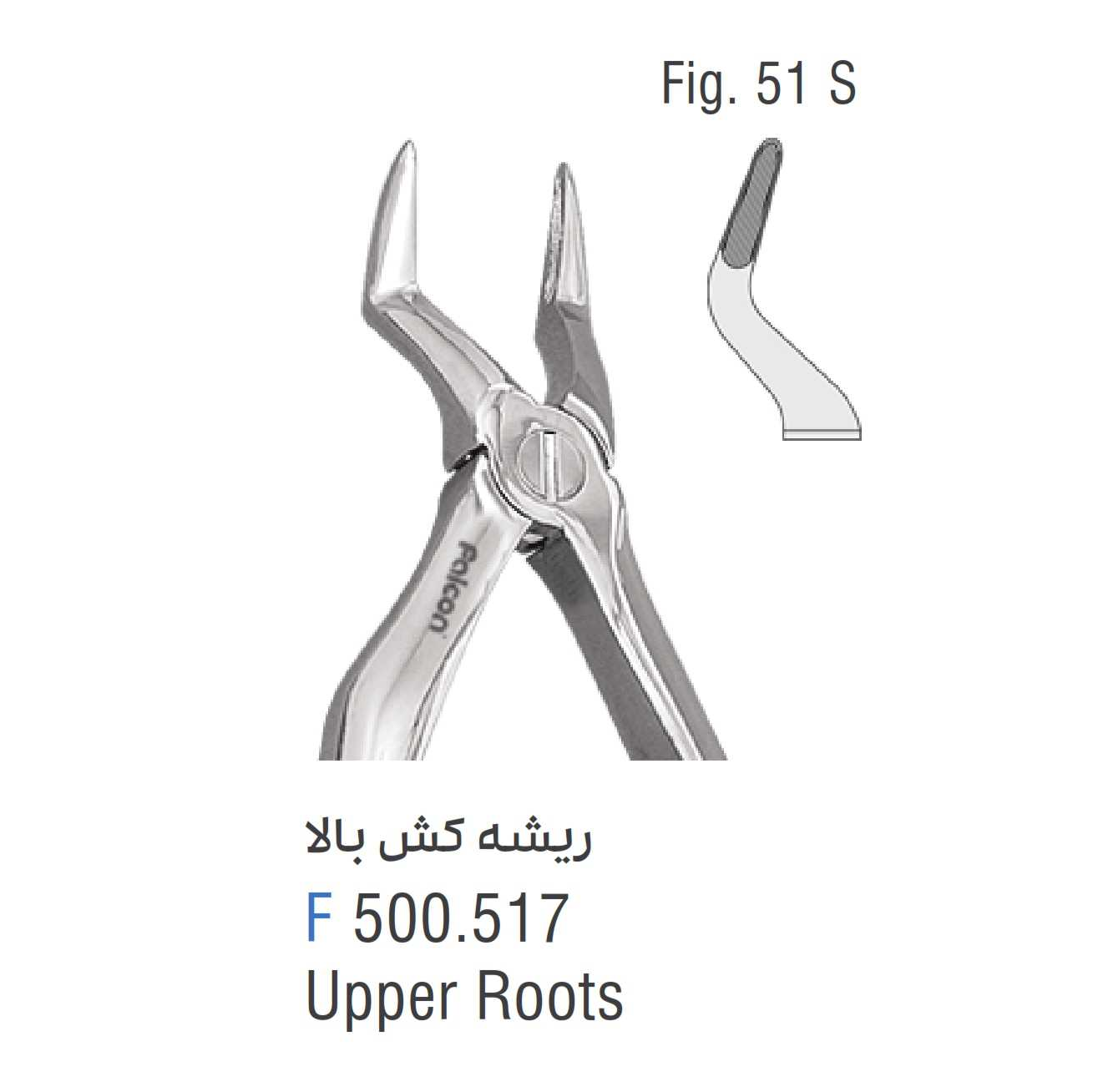 فورسپس ریشه کش بالا فالکن Fig:51S