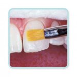 قلم موی کامپوزیت کازمادنت Cosmedent Brushes