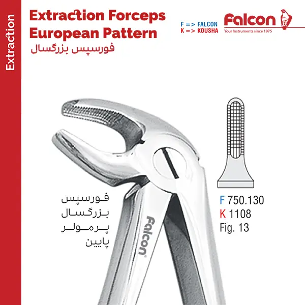 فورسپس پرمولر پایین fig:13 فالکن Falcon