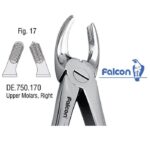 فورسپس مولر بالا راست fig:17 فالکن Falcon