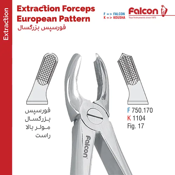 فورسپس مولر بالا راست fig:17 فالکن Falcon