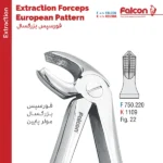 فورسپس مولر پایین fig:22 فالکن Falcon