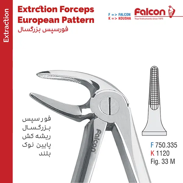 فورسپس ریشه کش پایین نازک fig:33M فالکن Falcon