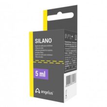 سایلن آنجلوس – Silano