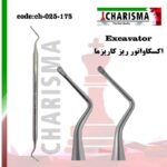 اکسکاواتور کاریزما