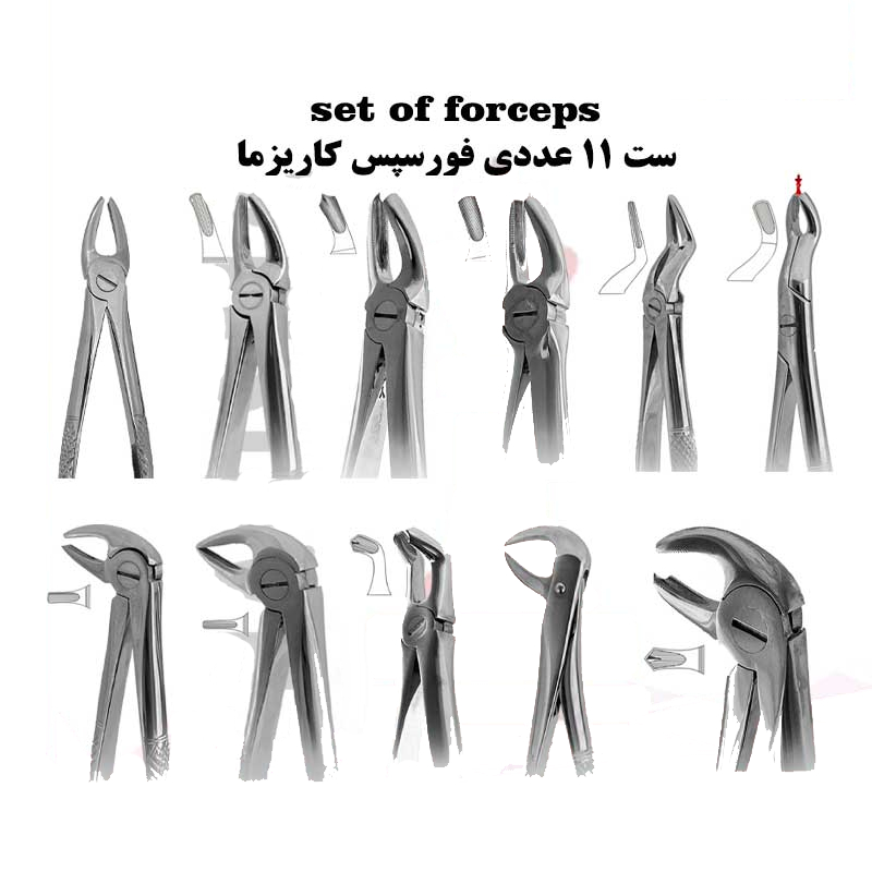 ست فورسپس ۱۱ عددی برند کاریزما - فورسپس ساده - خرید ست فورسپس - قیمت ست فورسپس - فروش ست فورسپس - خرید آنلاین ابزار دندانپزشکی از آرمادنت - دندانت