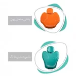 یونیت دندانپزشکی پرستو Dentine - FX1020-405T - خرید و قیمت یونیت دندانپزشکی پرستو - یونیت دندانپزشکی فرازمهر مدل پرستو - یونیت و صندلی مدل پرستو